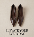Brown Monroe Lace 6cm heel pumps with pointed toe and sleek design, perfect for stylish formal or casual wear.